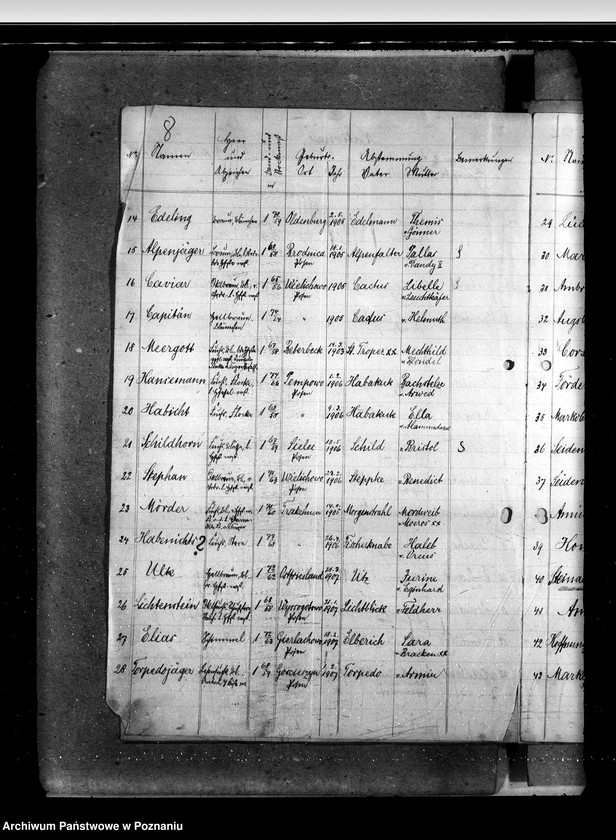 Obraz 12 z jednostki "Sprawy stadnin Zarząd Stadnin Sieraków"