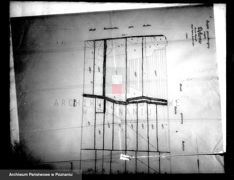 Obraz 6 z jednostki "Majątek Dębowo powiatu wyrzyskiego parcelacja rządowa"