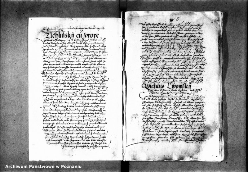 Obraz 9 z jednostki "Inscriptiones, relationes, decreta iudicii et officii [inducta]"