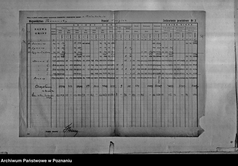 Obraz 14 z jednostki "/Statystyka produkcji rolnej - zestawienie powiatowe - Śmigiel"