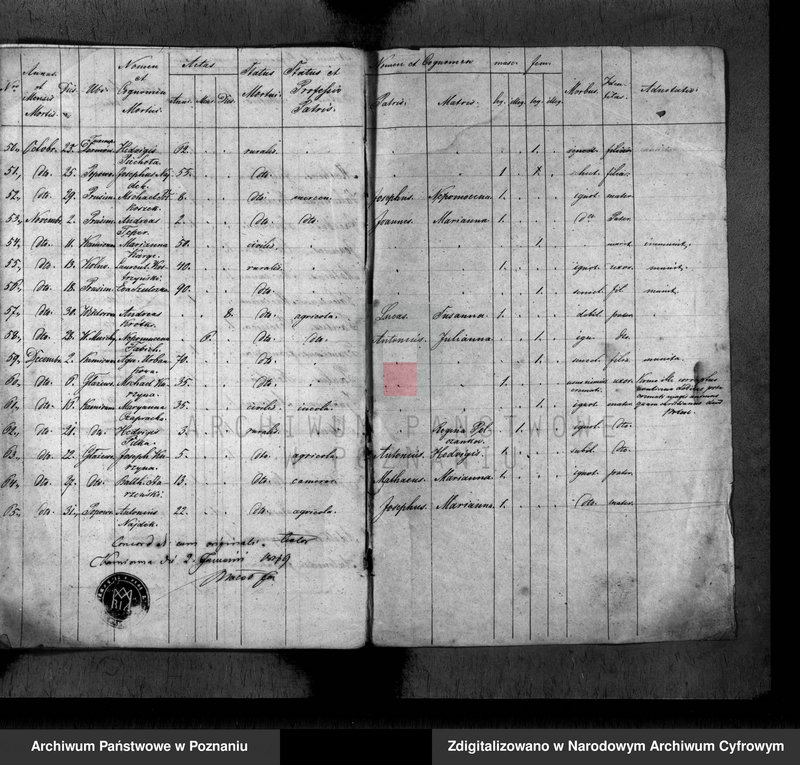 Obraz 15 z jednostki "Duplikat baptisatorum, copulatorum, mortuorum"