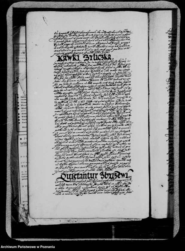 Obraz 20 z jednostki "Inscriptiones, relationes, decreta [inducta]"