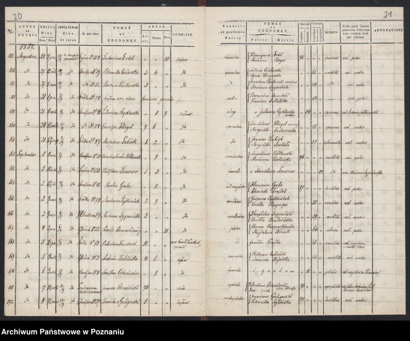 Obraz 13 z jednostki "Księga zgonów"