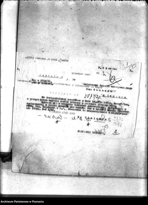 Obraz 14 z jednostki "Zaraza płucna - Leszno"