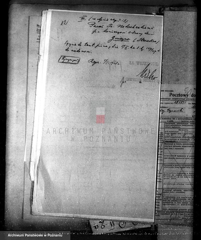 Obraz 16 z jednostki "Nadzór nad lasami majętności Maciejewo w powiecie czarnkowskim"