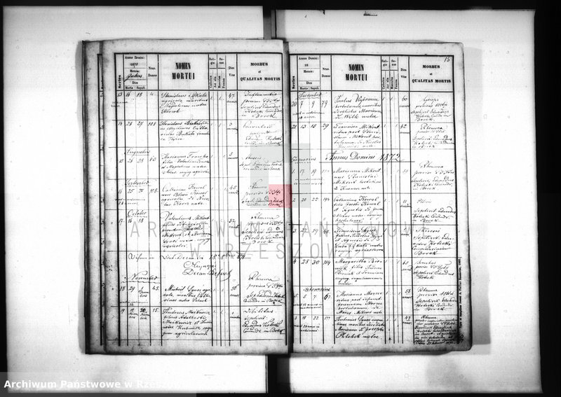 image.from.unit.number "Księga zgonów - Borek Nowy"