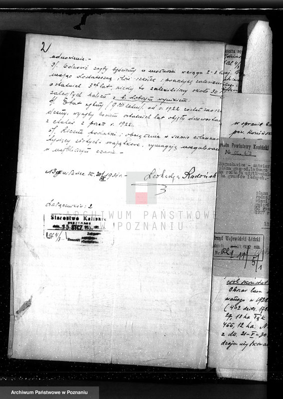 Obraz 6 z jednostki "Sprawa zmiany rodzaju użytków 5,06 ha gruntów leśnych w majątku Bogusławice /powiat koniński/ oraz zatwierdzenie projektu planu gospodarstwa leśnego"