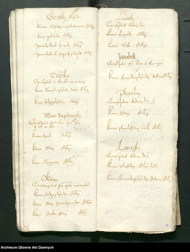 image.from.unit.number "Conscripcio curiensium et cubiculariorum Rmtis AD 1497 in Radom per Petrum Shidlo[wyeczki]."