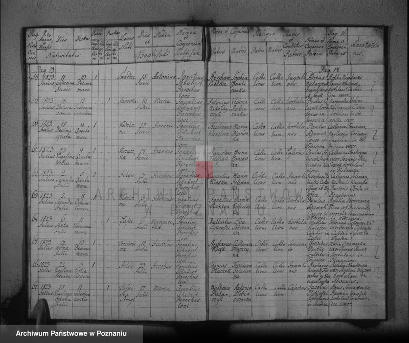 image.from.unit.number "Liber baptisatorum, copulatorum, mortuorum"