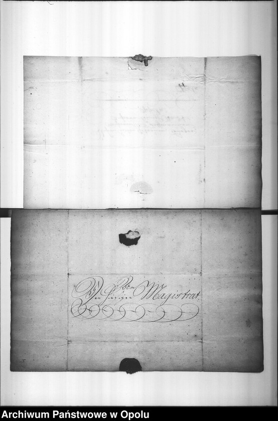 Obraz 8 z jednostki "Acta des Magistrats zu Oppeln betreffend die Legitimation unehelich erzeugter Kinder und Personen Vol. I"