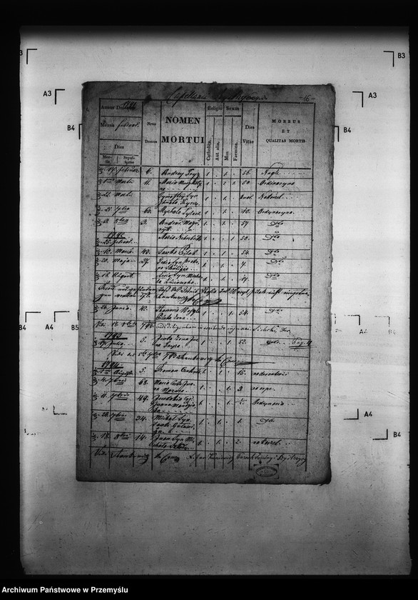 Obraz 19 z jednostki "[Kopie ksiąg metrykalnych parafii Bystrzyca (dekanat Podbuż)]"