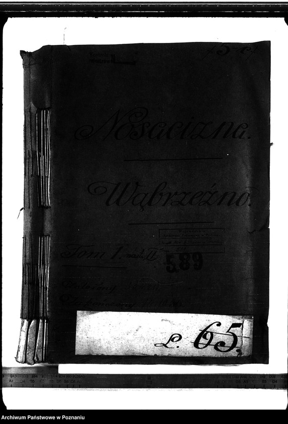 Obraz 4 z jednostki "Nosacizna - Wąbrzeźno"