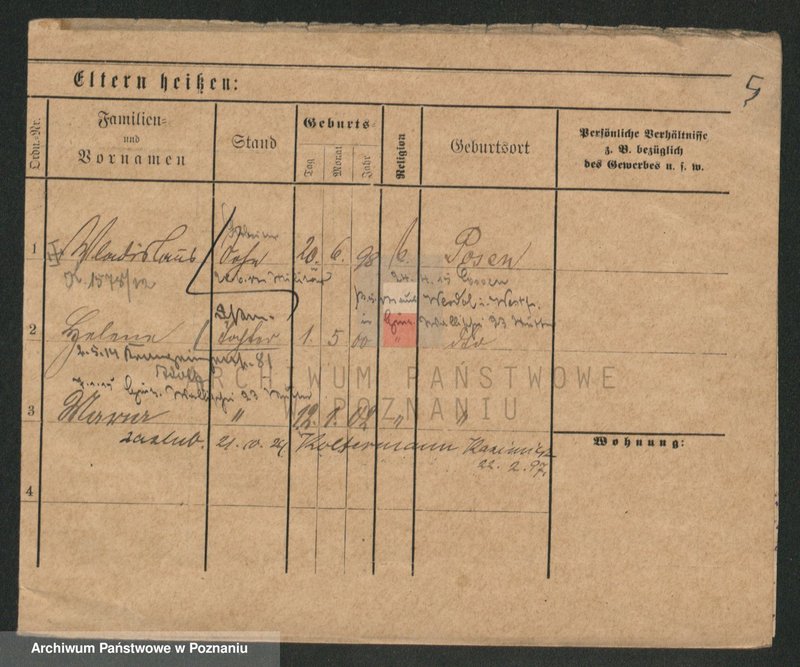 Obraz 5 z jednostki "Knop - Knytel"