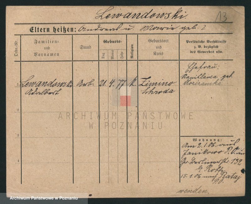 Obraz 13 z jednostki "Lewandowski (żonaci i wdowy)"