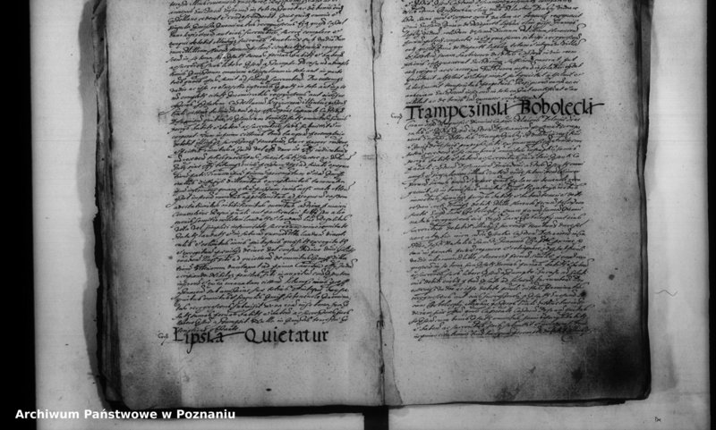 Obraz 15 z jednostki "Inscriptiones [inducta]"