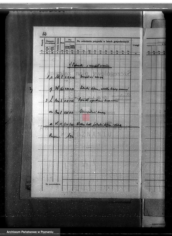 Obraz 16 z jednostki "Program urządzania gospodarstwa leśnego dla lasu klasztoru O.O Benedyktynów w Lubiniu powiat kościański"