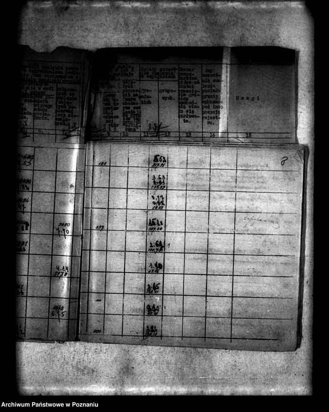 Obraz 12 z jednostki "/Scalenie gruntów we wsi Lądek powiatu konińskiego/"