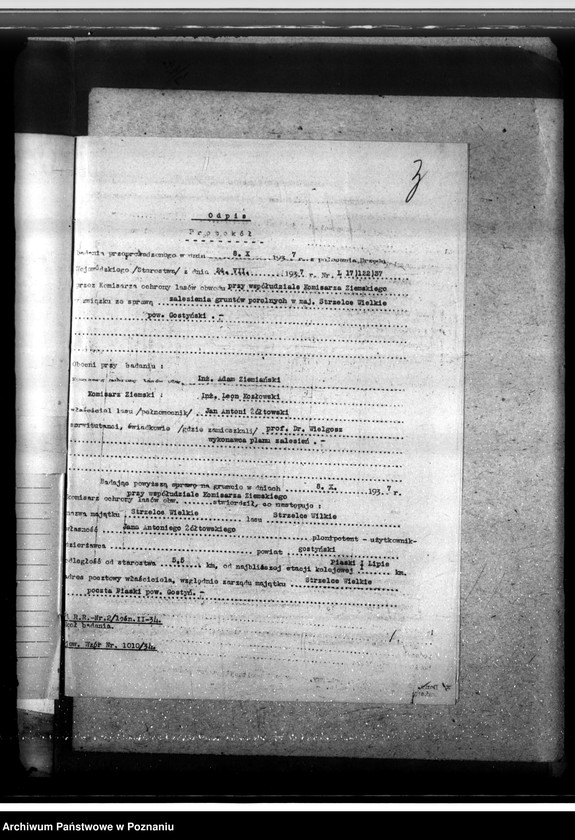 Obraz 7 z jednostki "Las majątku Strzelce-Wielkie w powiecie gostyńskim"