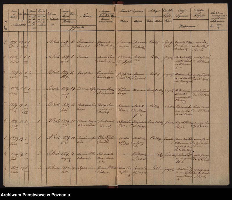 Obraz 7 z jednostki "Duplicat baptisatorum, copulatorum, mortuorum"