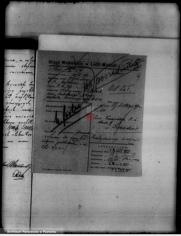 Obraz 13 z jednostki "Lustracja lasu majątku Zbiersk i Petryki powiatu kaliskiego oraz zatwierdzenie uzupełnienia planu gospodarstwa leśnego"