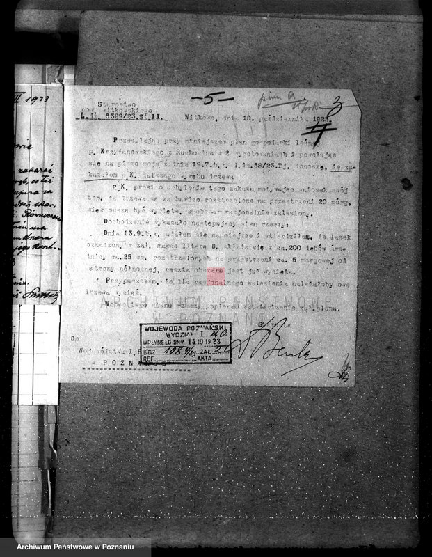 Obraz 9 z jednostki "Nadzór nad gospodarką w lasach majętności Ruchocin powiecie gnieźnieńskim"