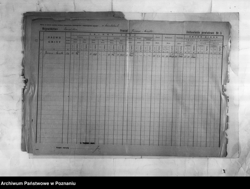 Obraz 12 z jednostki "/Statystyka produkcji rolnej - zestawienie powiatowe z terenu Gniezna/"