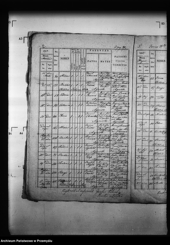 Obraz 16 z jednostki "[Kopie ksiąg metrykalnych parafii Zawadów (dekanat Niemirów)]"