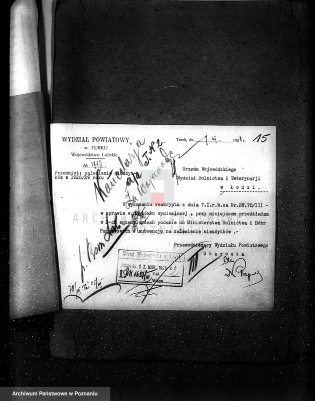 Obraz 19 z jednostki "Zalesienie nieużytków powiatu tureckiego"