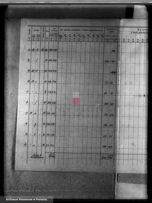 Obraz 8 z jednostki "Nadzór nad gospodarką leśną majątku Sławno powiat czarnkowskim"