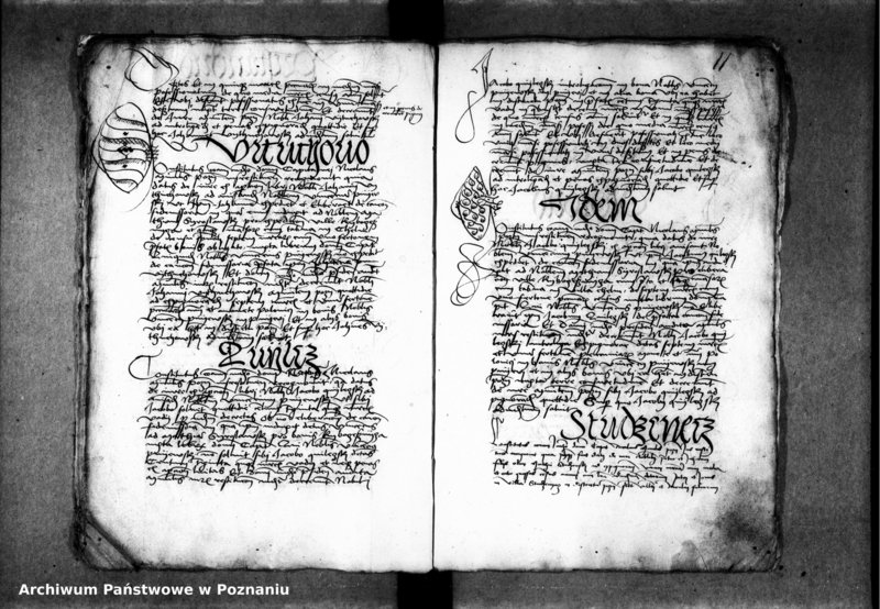 Obraz 14 z jednostki "Inscriptiones, relationes, decreta [inducta]"