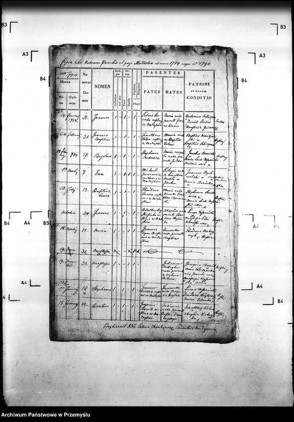 Obraz 5 z jednostki "[Kopie ksiąg metrykalnych parafii Małastów z filiami Ropica Ruska, Pętna (dekanat Gorlice)]"