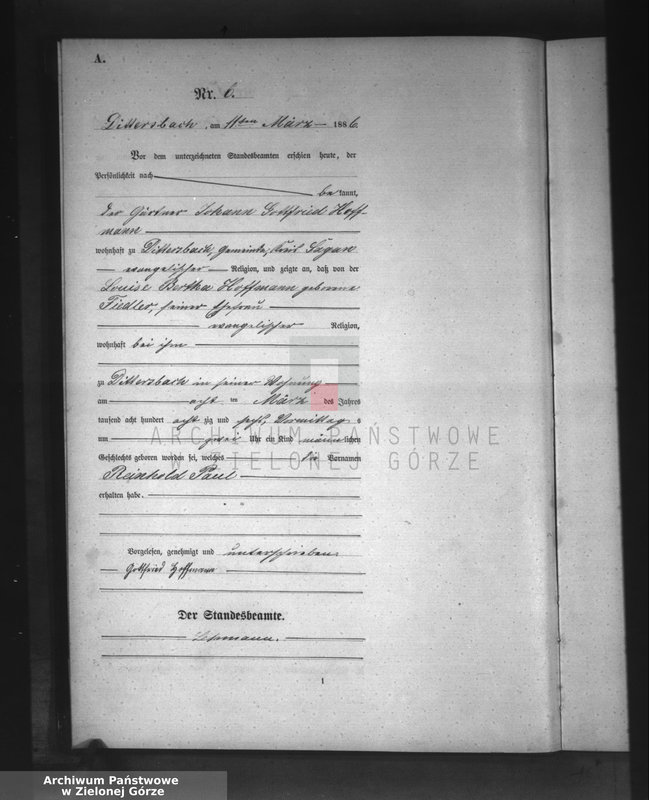 Obraz 9 z jednostki "[Księga aktów urodzeń]"