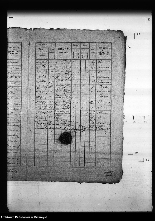 Obraz 19 z jednostki "[Kopie ksiąg metrykalnych parafii Hruszów z filiami Budomierz, Kłonice, Szczepłoty (dekanat Niemirów)]"