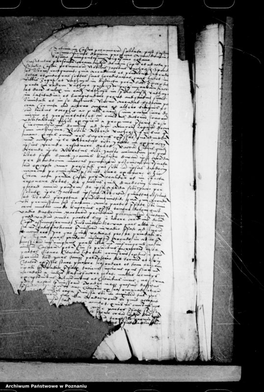 Obraz 5 z jednostki "Inscriptiones, relationes, decreta [inducta]"