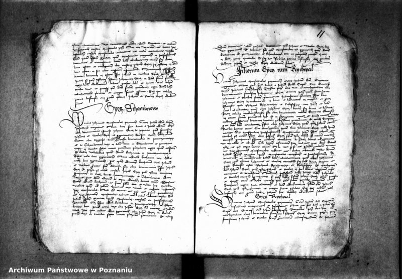 Obraz 15 z jednostki "Inscriptiones, relationes, decreta [protocollon]"