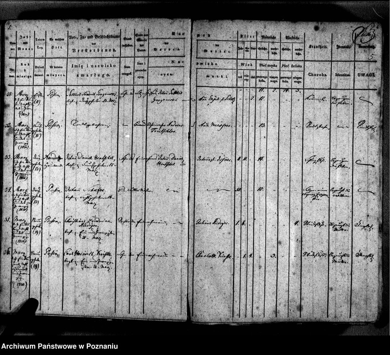 Obraz 8 z jednostki "Sterbenbuch"