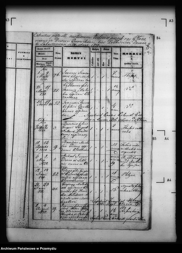 image.from.unit.number "[Kopie ksiąg metrykalnych parafii Płazów z filiami Grochy, Huta Różaniecka, Ruda Różaniecka, Żuki, Kuryje (dekanat Cieszanów)]"