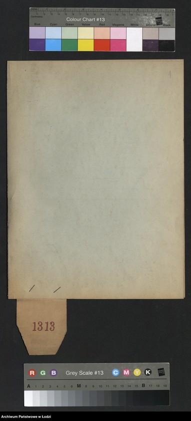 Obraz 3 z jednostki "[Aneksy od nr 1313 do nr 1335]"