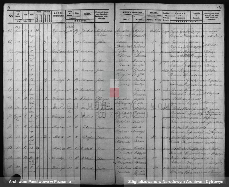 Obraz 8 z jednostki "Duplicatus baptisatorum, copulatorum, mortuorum"