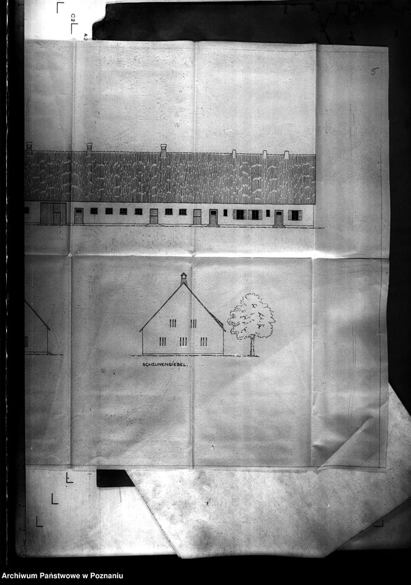 Obraz 12 z jednostki "Dorf Willingen - powiat Konin"