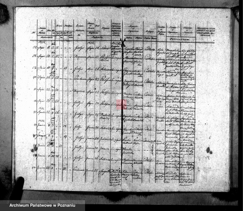 Obraz 7 z jednostki "Liber baptisatorum, copulatorum, mortuorum"