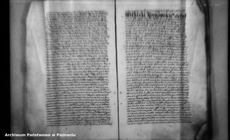 Obraz 8 z jednostki "Inscriptiones [inducta]"