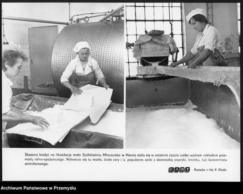 Obraz 1 z jednostki "Spółdzielnia Mleczarska w Harcie. Pracownice zakładu podczas pracy przy produkcji masła i serów; autor: K. Kłoda"