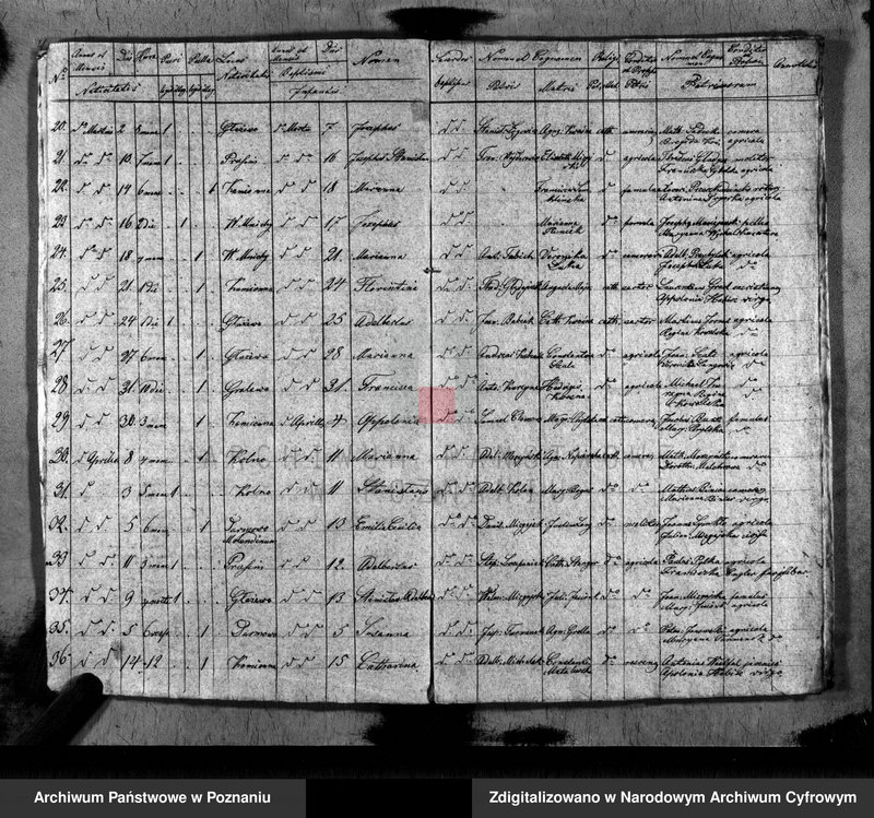 image.from.unit.number "Duplikat baptisatorum, copulatorum, mortuorum"