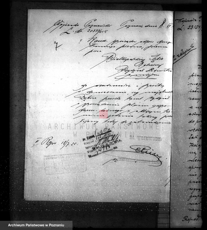 Obraz 11 z jednostki "Nadzór nad gospodarką w lasach majętności Dębicz powiat średzki"