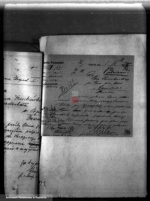 Obraz 12 z jednostki "Majętność leśna w Kwilczu w powiecie międzychodzkim"