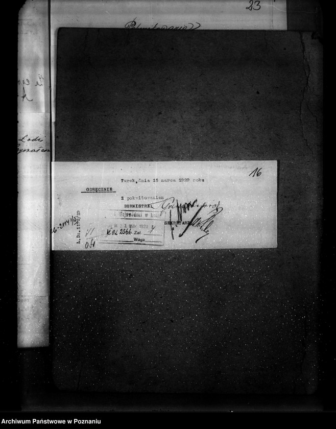 Obraz 20 z jednostki "Zatwierdzenie planu gospodarstwa leśnego dla majątku Brody powiatu tureckiego"