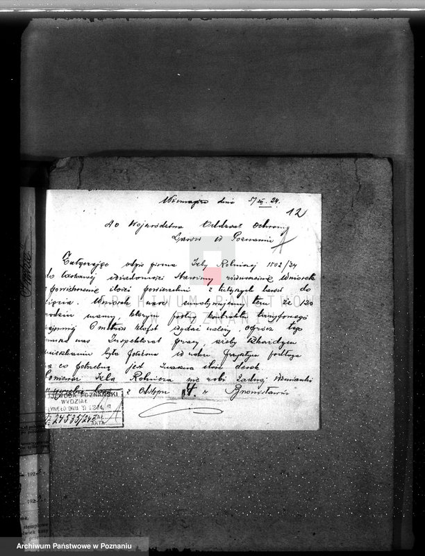 Obraz 16 z jednostki "Nadzór nad gospodarką w lasach majętności Bronisław"