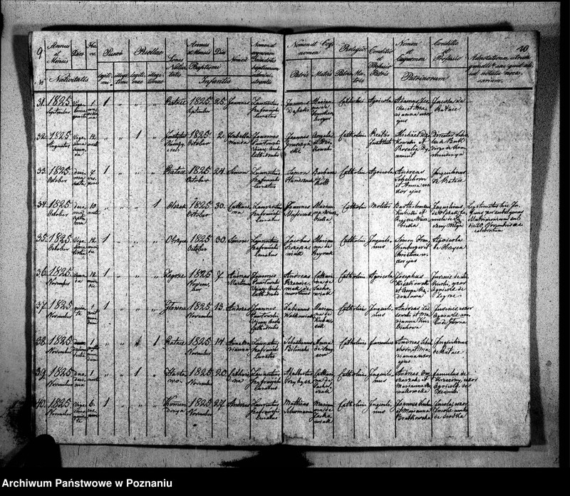 Obraz 9 z jednostki "Duplikat libri baptisatorum, copulatorum, mortuorum"