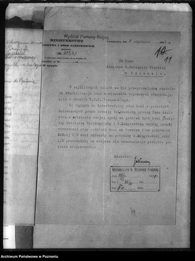 Obraz 15 z jednostki "Rekwizycje koni"